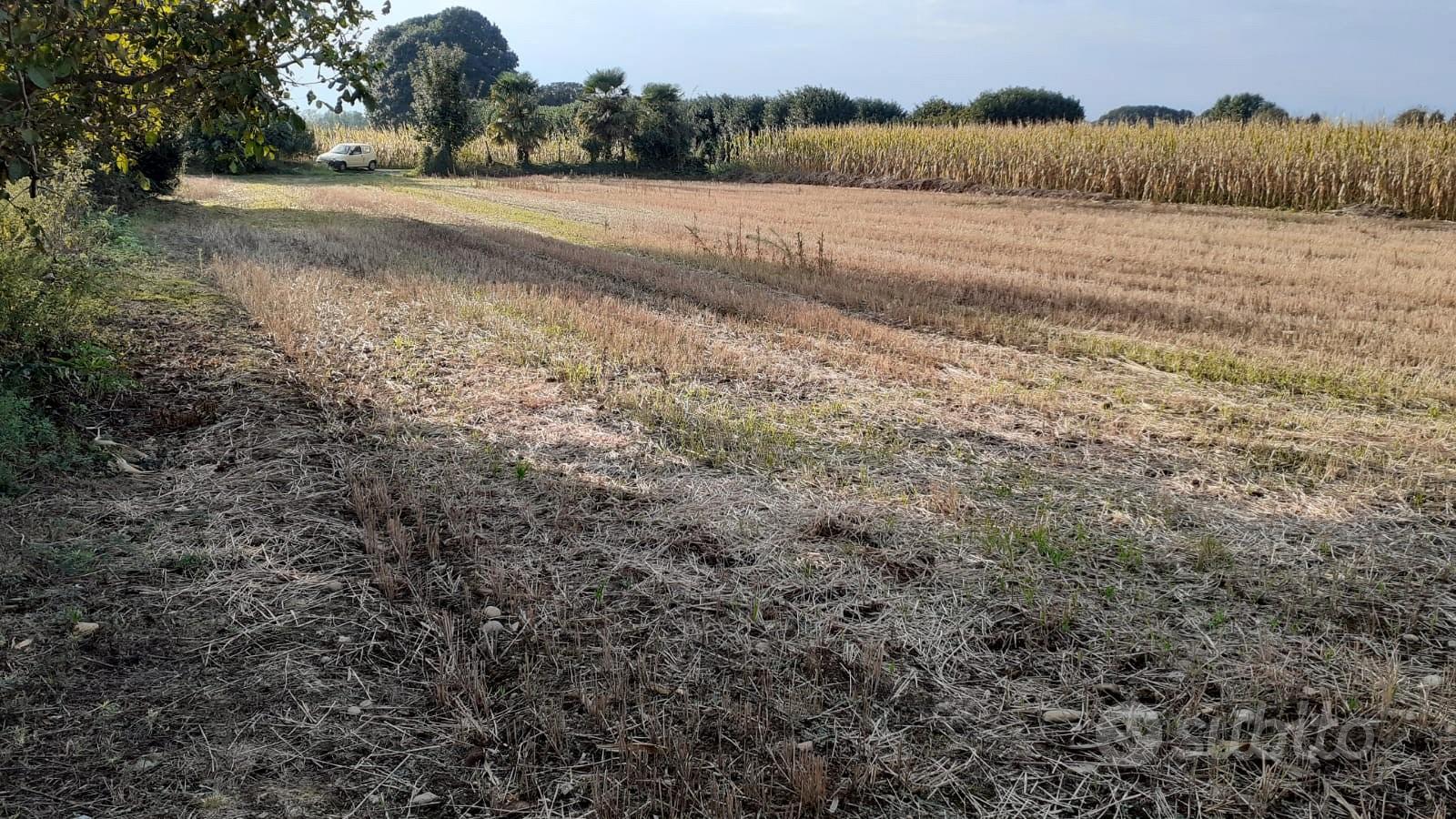Terreno agricolo - View 3
