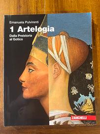 Libro di arte