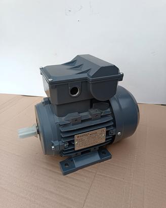 Motore elettrico 230V, 1 Hp, 0,75 Kw, 1320 giri