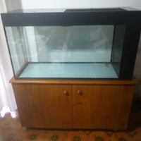 Acquario molto capiente (180l ) con accessori