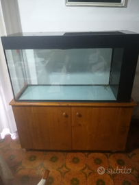 Acquario molto capiente (180l ) con accessori