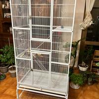 Gabbia in quasi perfette condizioni