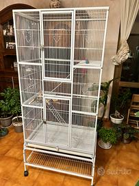 Gabbia in quasi perfette condizioni