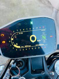 Bonelli leoncino 800