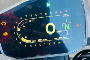 Bonelli leoncino 800