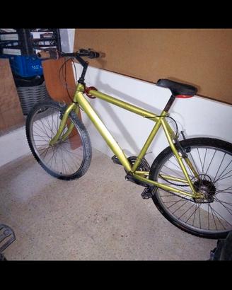 Bicicletta 