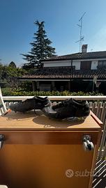 Nike Mercurial Vapor