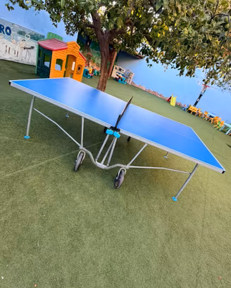 Tavolo da ping pong