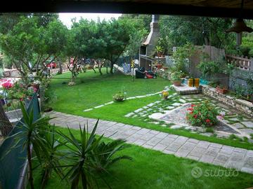 Vacanze al mare a Torre dei Corsari