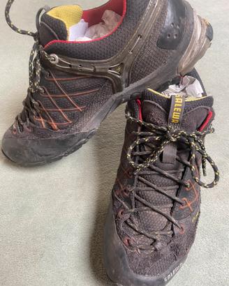 Salewa