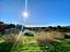 Immagine 27