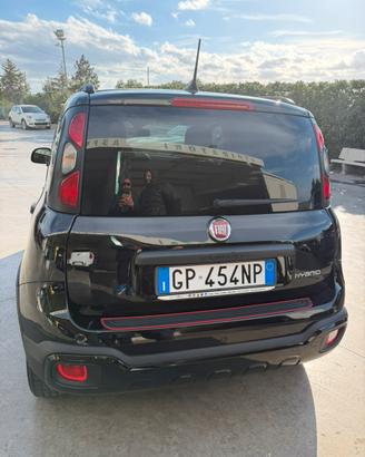 Panda Cross Nuova Ibrida NeraC.C100