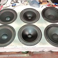 Coppia woofer 8 pollici, Vifa, Philips e Pioneer.