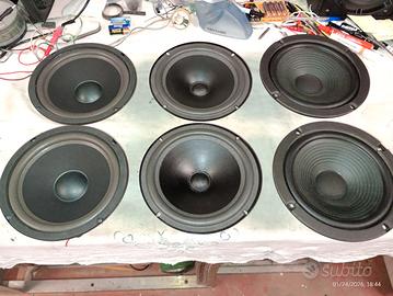 Coppia woofer 8 pollici, Vifa, Philips e Pioneer.