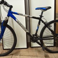 Mountain-bike Wheeler da donna 