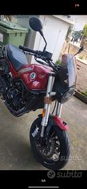 Benelli Leoncino 500