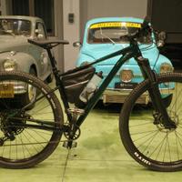 Cannondale Trail SE 2 emerald (29)