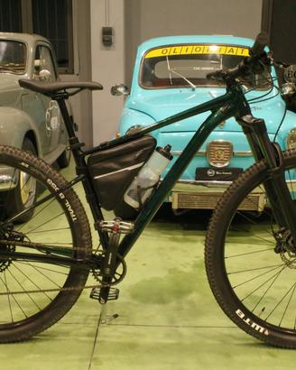 Cannondale Trail SE 2 emerald (29)