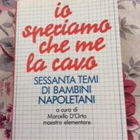 Io speriamo che me la cavo Libro 1990