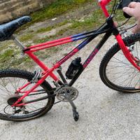 bicicletta mountainbike bianchi theridion