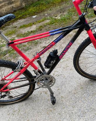 bicicletta mountainbike bianchi theridion