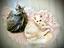 Immagine 6