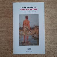 L'isola di Arturo (Elsa Morante)