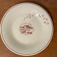 Piatto piano Mulino Bianco - Tognana