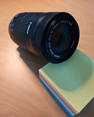 Canon EF-S 55-250mm f/4-5.6 IS STM teleobiettivo