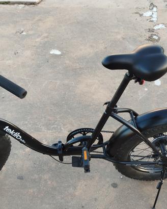 bicicletta pieghevole 