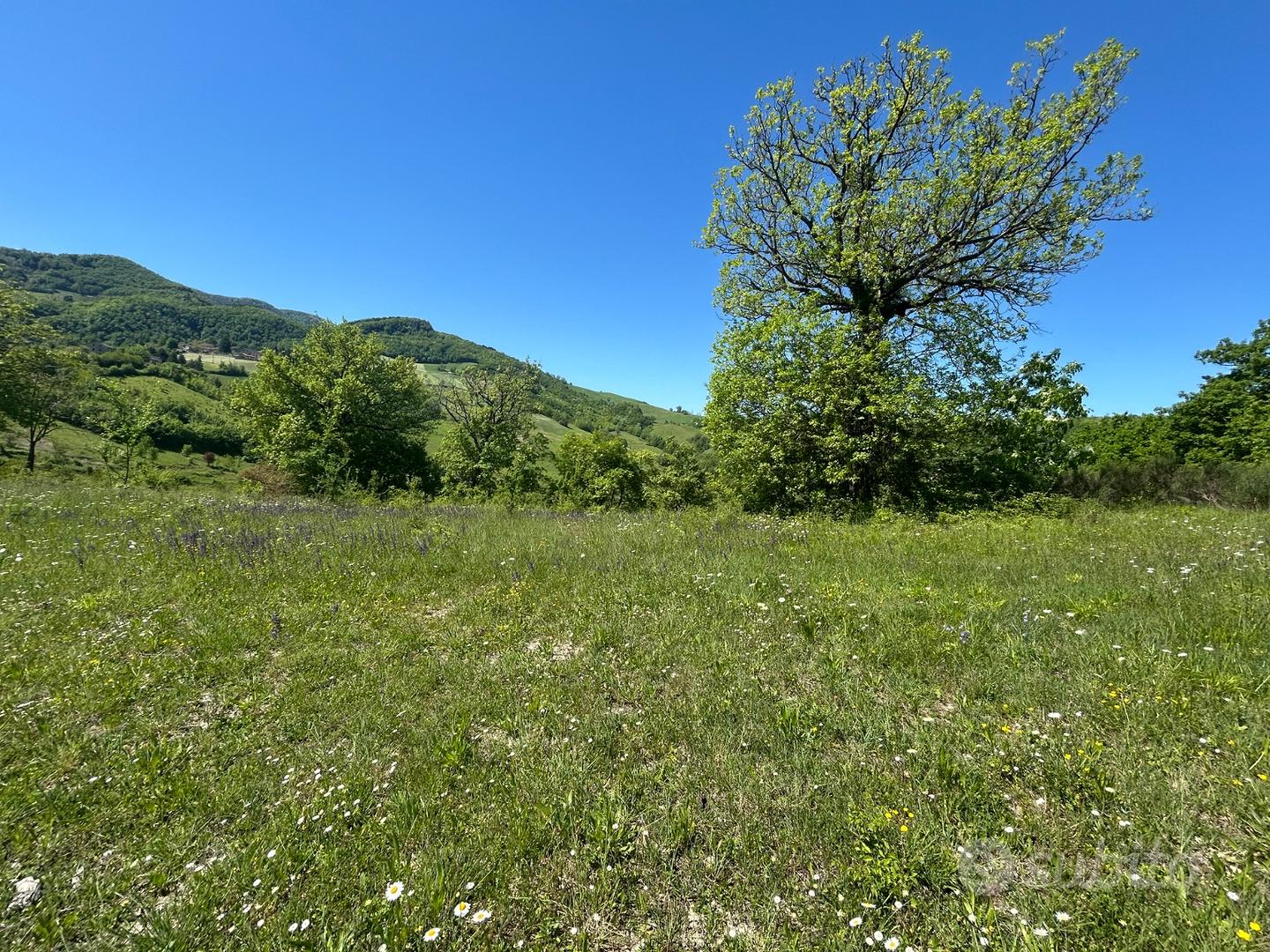 Terreno edificabile a Magrignano (PR) - Vista 3