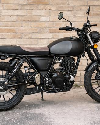 Mutt FSR 250