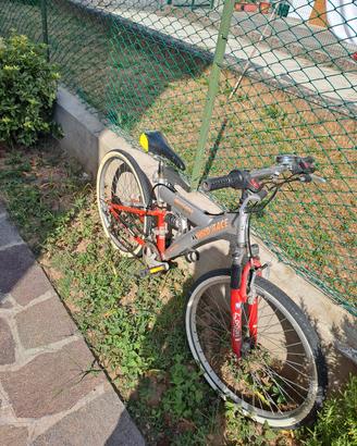 bicicletta da bambino