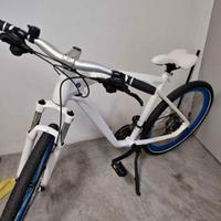 bicicletta BMW