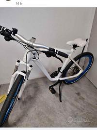 bicicletta BMW