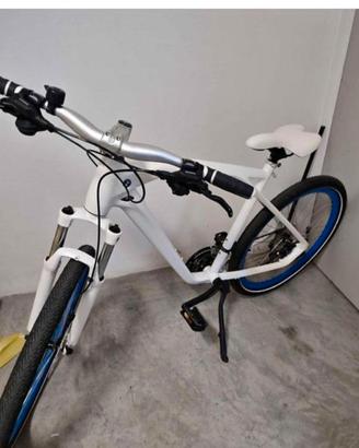 bicicletta BMW