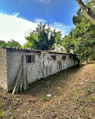 RUSTICO A TAVULLIA
