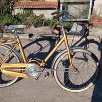 bicicletta pieghevole 