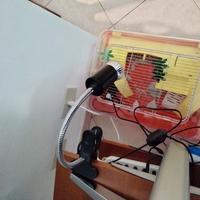 vaschetta per tartarughe acqua con accessori