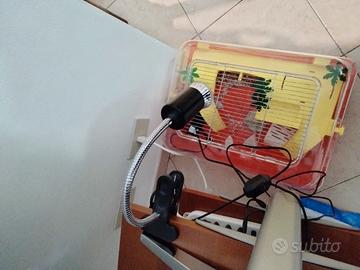 vaschetta per tartarughe acqua con accessori