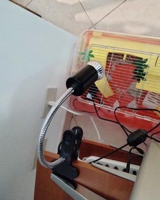 vaschetta per tartarughe acqua con accessori