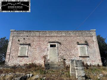 ANTICA TENUTA SIGNORILE con PALMENTO, STALLE