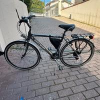 Bicicletta uomo Zecchini