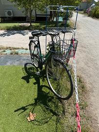 Mountainbike usata