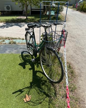 Mountainbike usata