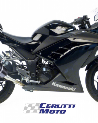 Scarico Leovince GP CORSA Kawasaki 250 / 300