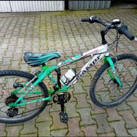 Bicicletta Ragazzo 24" Sambi