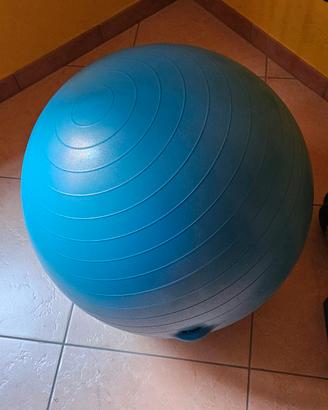  Palla da ginnastica  diametro 60.cm.