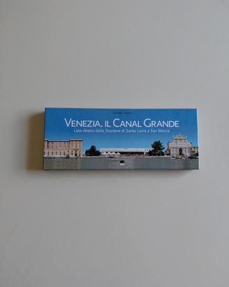 Venezia. il canal grande