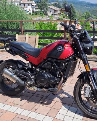 BENELLI LEONCINO 500 TRAIL